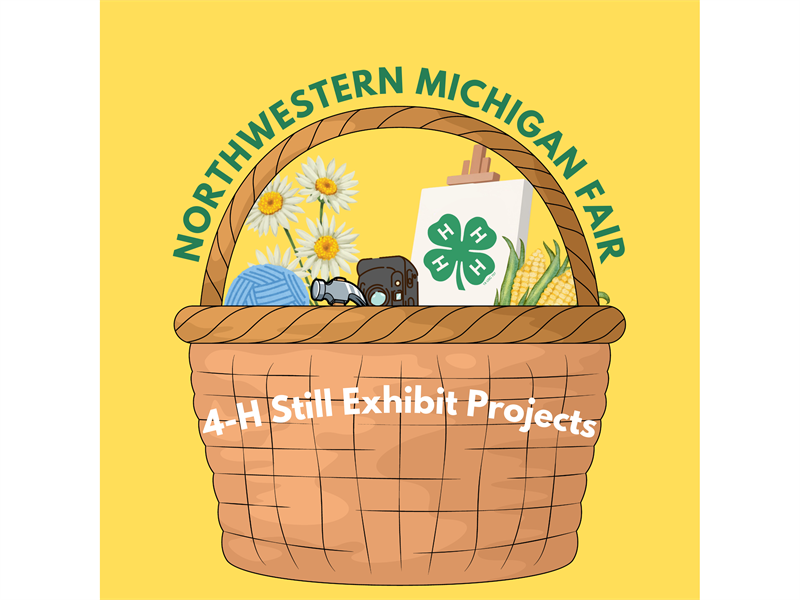 Logo for 2026 Northwestern Michigan Fair 4-H Still Exhibit Project